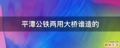 平潭公铁两用大桥谁造的