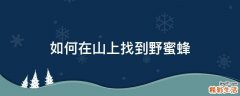 如何在山上找到野蜜蜂