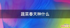 蔬菜春天种什么