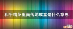 和平精英里面落地成盒是什么意思