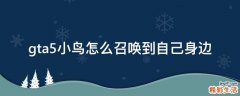 gta5小鸟怎么召唤到自己身边