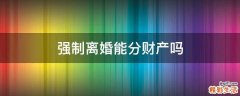 强制离婚能分财产吗