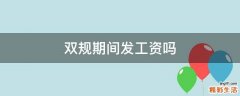 双规期间发工资吗