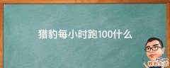 猎豹每小时跑100什么