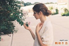 2 大叶花椒茎叶