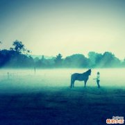 常开快车 警惕冠心病