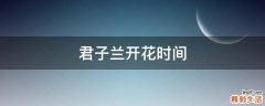 君子兰开花时间