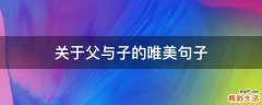关于父与子的唯美句子