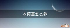 木茼蒿怎么养