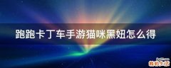 跑跑卡丁车手游猫咪黑妞怎么得