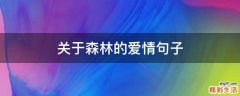 关于森林的爱情句子