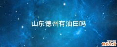 山东德州有油田吗