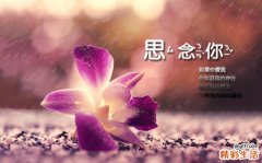 九九重阳节寓意