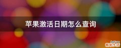 苹果激活日期怎么查询