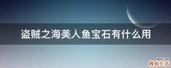 盗贼之海美人鱼宝石有什么用