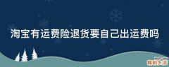 淘寶有運(yùn)費(fèi)險(xiǎn)退貨要自己出運(yùn)費(fèi)嗎