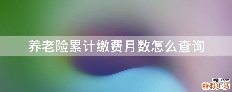 养老险累计缴费月数怎么查询