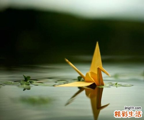 我国首先发现4个肾上腺脑白质营养不良相关基因突变