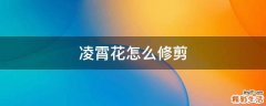 凌霄花怎么修剪