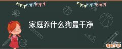 家庭养什么狗最干净