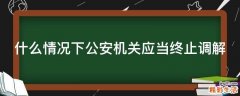 什么情况下公安机关应当终止调解