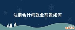 注册会计师就业前景如何