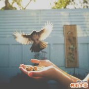 秋季吃什么对皮肤好