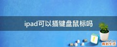 ipad可以插键盘鼠标吗