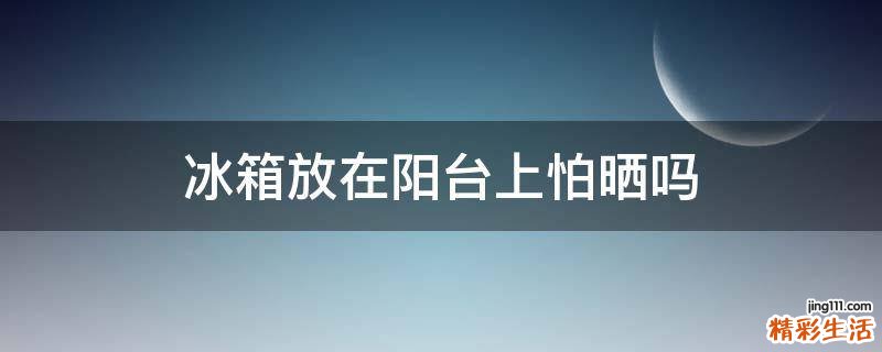 冰箱放在阳台上怕晒吗