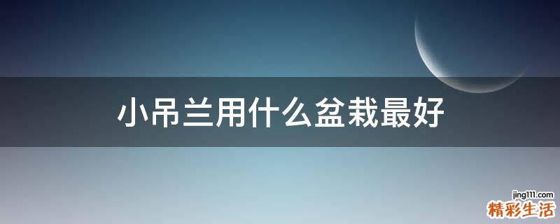 小吊兰用什么盆栽最好
