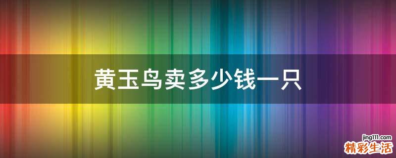 黃玉鳥賣多少錢一只