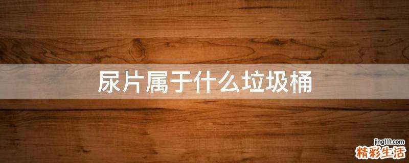 尿片屬于什么垃圾桶