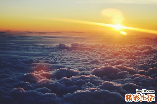 南方人过冬至吃饺子吗