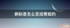 蝌蚪是怎么变成青蛙的