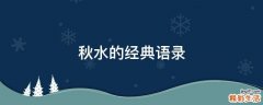 秋水的经典语录