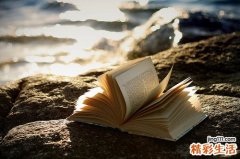 夏季吃什么菜养生