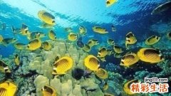 春季应该吃什么食物