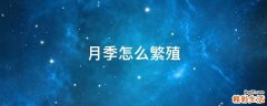 月季怎么繁殖