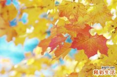 3 给你一份干眼症手册