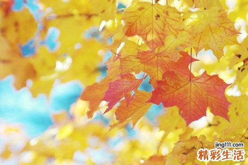 3 给你一份干眼症手册