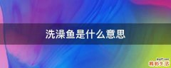 洗澡鱼是什么意思