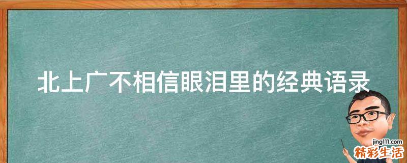 北上广不相信眼泪里的经典语录