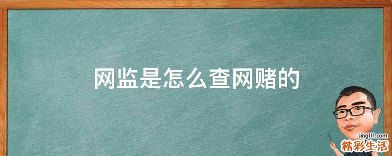 网监是怎么查网赌的