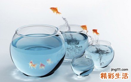 冬至吃汤圆的来历