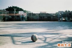 腓骨缺如知多少