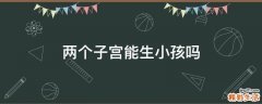 两个子宫能生小孩吗
