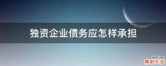 独资企业债务应怎样承担
