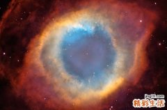 鼻真菌病的临床表现是什么?