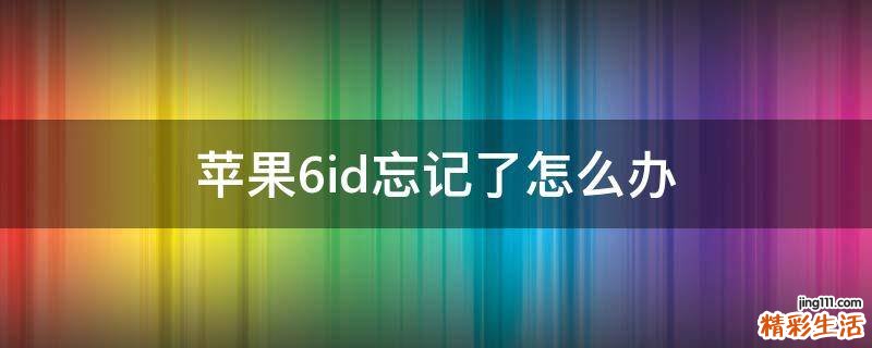 苹果6id忘记了怎么办