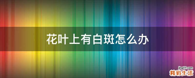 花叶上有白斑怎么办
